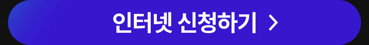 인터넷