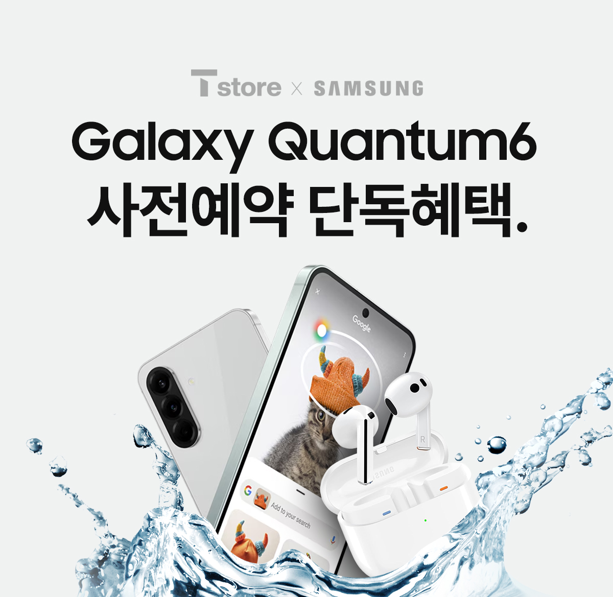 퀀텀6