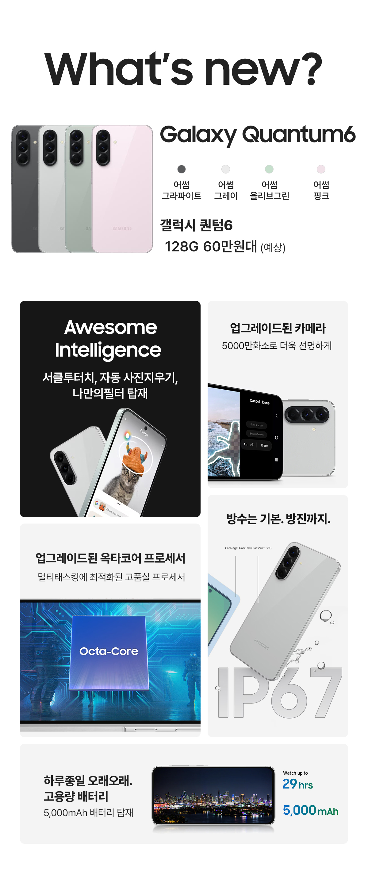퀀텀6